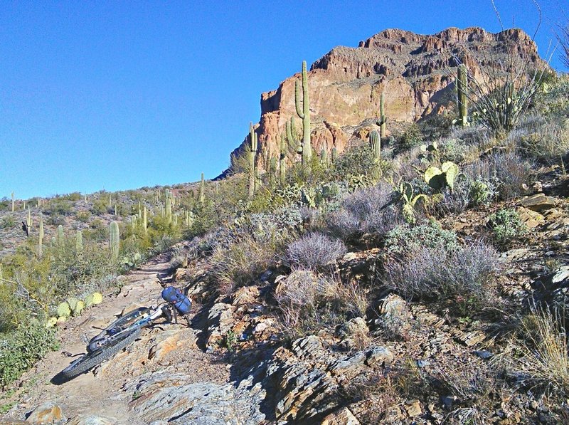 A bedrock section of trail and Picketpost Mountain