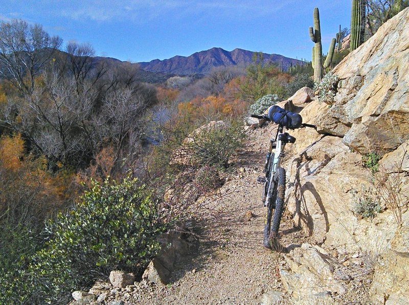 Ledge trail along the Gila.