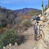 Ledge trail along the Gila.