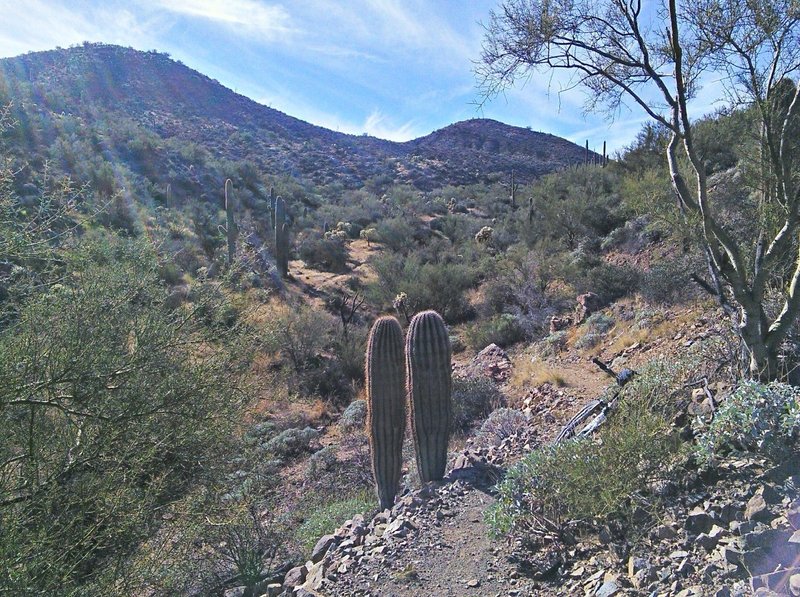 Heading towards "The Big Hill".