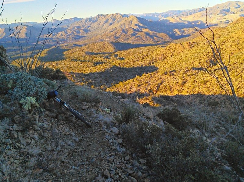 Looking north towards Kelvin.