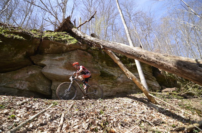 Cliffs on Tomahawk Trail above Walker Creek.