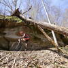 Cliffs on Tomahawk Trail above Walker Creek.