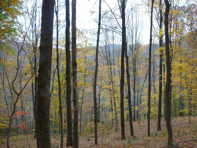 Looking north from atop Warrior Ridge on a fall afternoon.