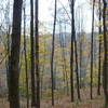 Looking north from atop Warrior Ridge on a fall afternoon.