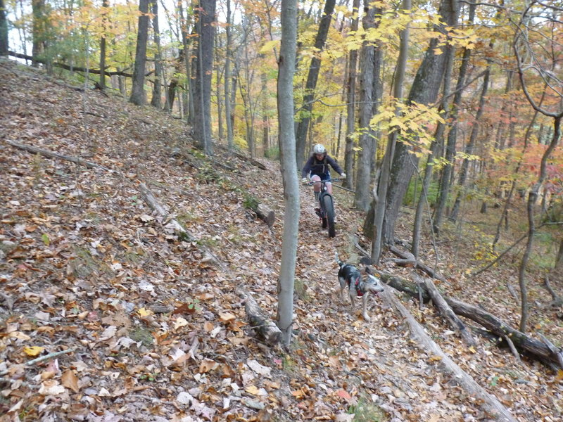 An autumn climb up Warrior Ridge.