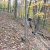 An autumn climb up Warrior Ridge.