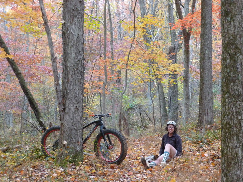 Colorful leaves on Caretaker Trail.