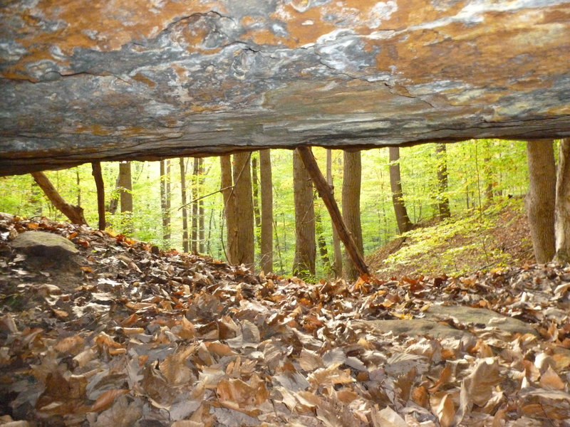 Inside a cave entrance just above the Dark Side of the Moon Trail.