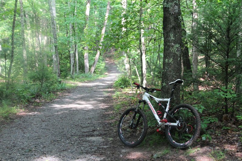 Boundary Trail/Crystal Springs Loop Trail junction.