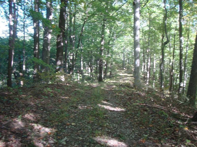 This is one of the toughest doubletrack climbs in the state of Indiana!