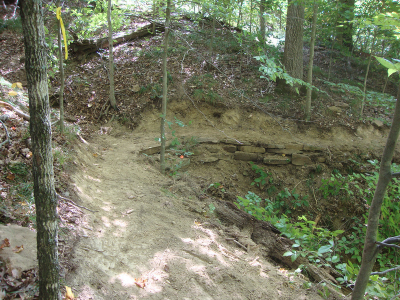 Singletrack section of Lucas Hollow.