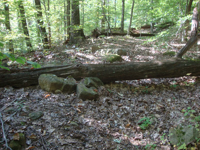 Old school rocks and logs.