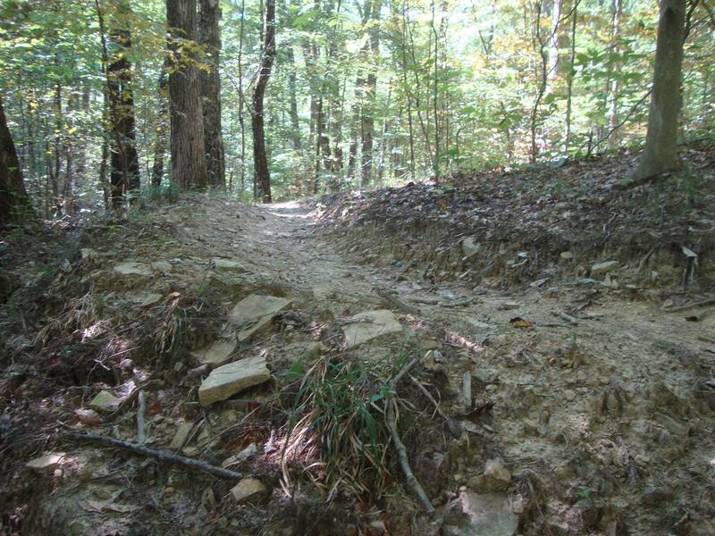 Hand-built singletrack.