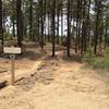 Prescott singletrack.