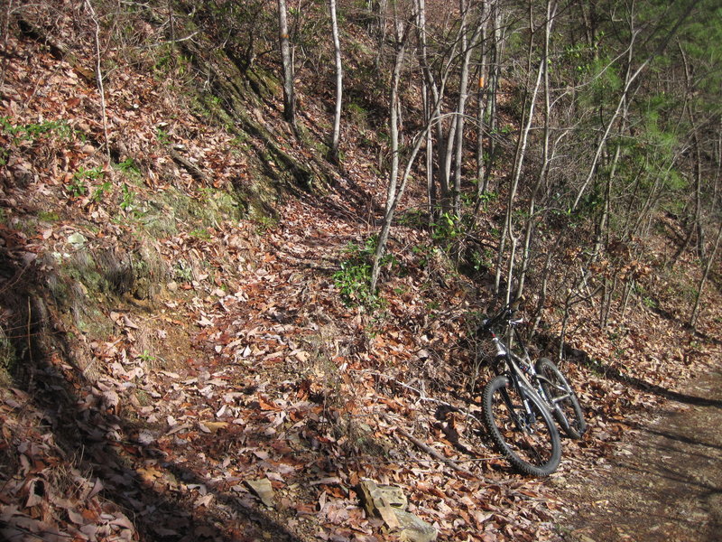 Another view of Mineshaft trailhead. You can blow right past it, it's exactly 1 mile from the picnic table at the top.