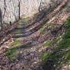 Ahh...the moss berms. Greenery even in the dead of winter.