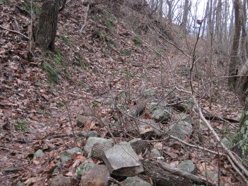 Rockpile containing remnant ore from 1800's mining operations. You'll see several hollers with these rockpiles. There are strip and small shaft mines up the mountain from each of these.