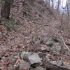 Rockpile containing remnant ore from 1800's mining operations. You'll see several hollers with these rockpiles. There are strip and small shaft mines up the mountain from each of these.