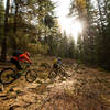 The sun peeks into a small meadow along the Crane Creek Trail.