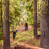 Cruising through tall, dripping green trees on the Crane Creek.