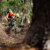 Crane Creek has plenty of loam and a few nice bits of rock.