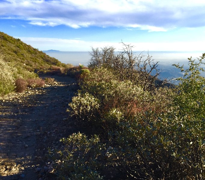 2nd to last switchback looking down the Haines Canyon Trail.