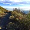 2nd to last switchback looking down the Haines Canyon Trail.