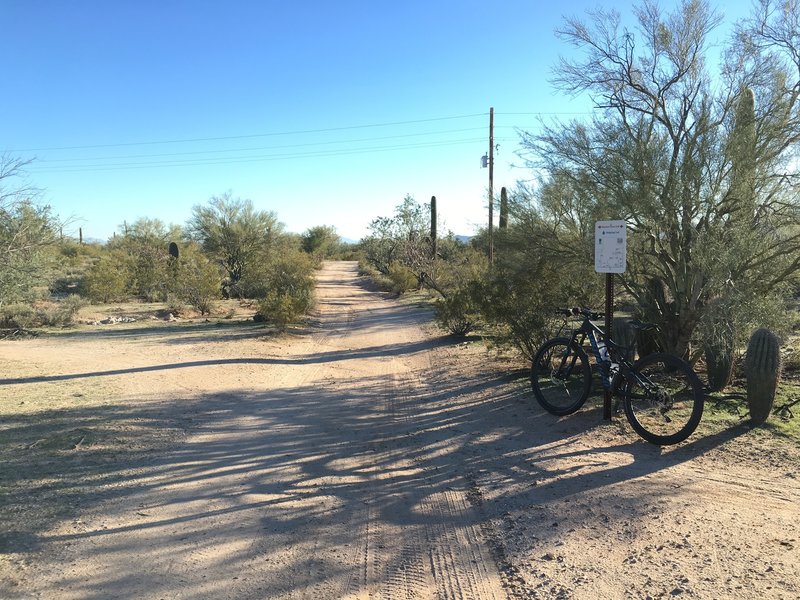 North end of Hedgehog Trail at intersection of Maeveen Behan Trail. Take North to South fast for an opportunity to get a little air.