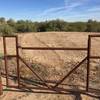 Pass through a gate and then some brush to continue on the Maricopa Trail.