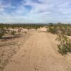 Some doubletrack north of the Sun Valley Parkway on the Maricopa Trail.