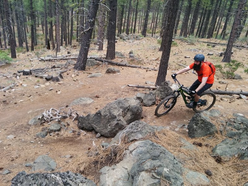 Exploring Phils Trail System in Bend, OR for our first time.