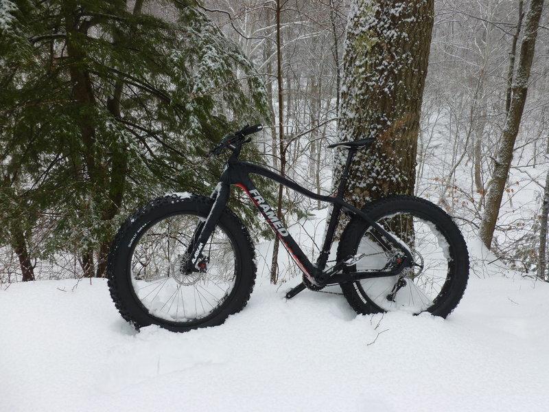 Winter scene along the North Bend Rail Trail.