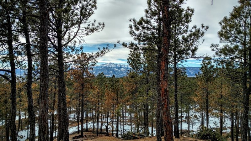 View of Pikes Peak from one of the trail overlooks.