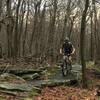 Part of the Lookout Loop is rocky enough to keep your tires clean.