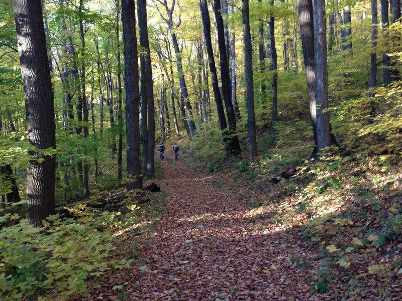 Autumn day on Sawmill.