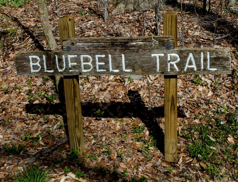 Bluebell Trail sign.