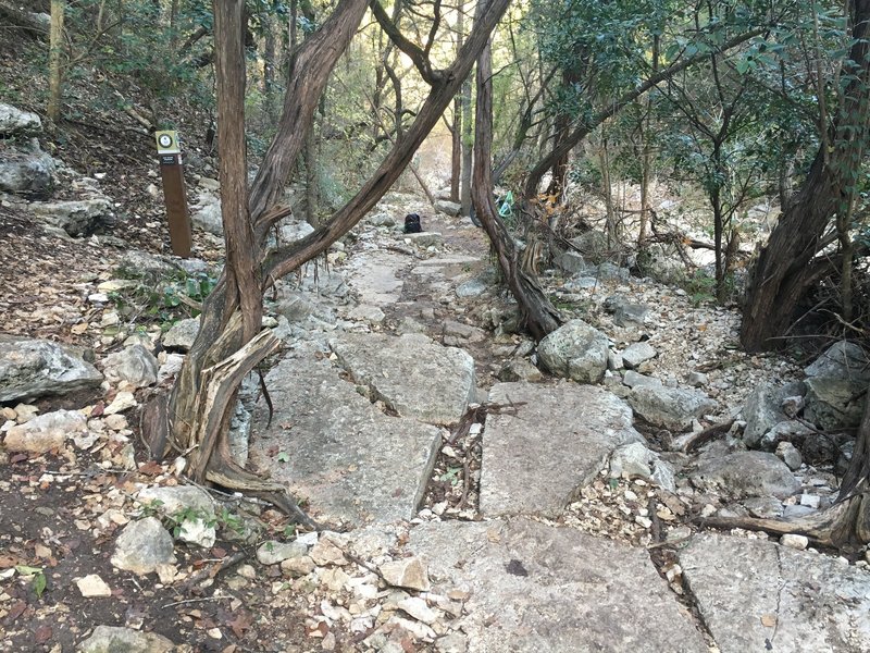 This picture is taken looking north on the Violet Crown Trail; this is one of the more technical spots on the trail.