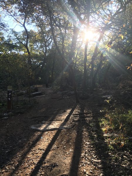 From the Greenbelt Trail, this is the way up to the 360 Trailhead of the Barton Creek Greenbelt.