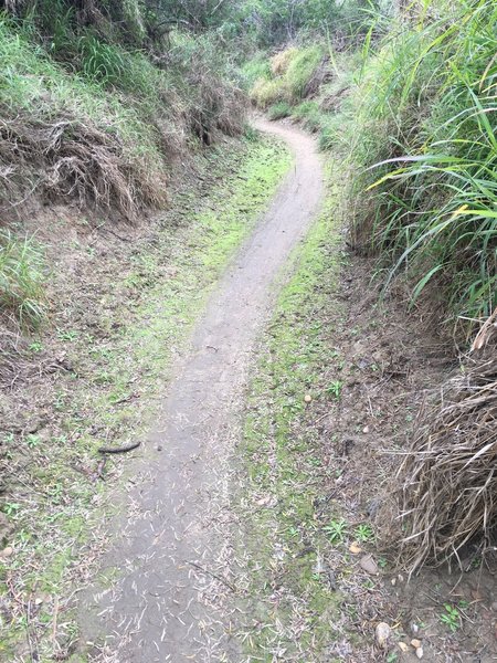 Newest Trails near Nueva Ciudad Guerrero, Tamaulipas Mexico