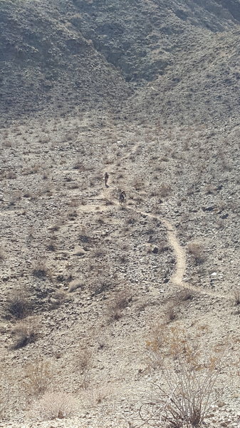 Desert singletrack.