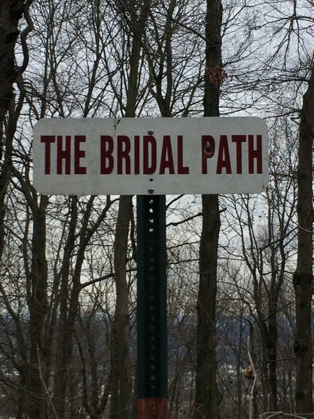 Bridal Path Trail entrance near the north end of Skyline Drive on the Mt. Penn Preserve.