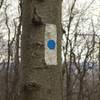 White Stripe/Blue dot is the marking you'll see on this part of the trail. It changes to white stripe only at about the halfway point.