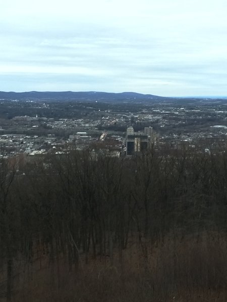 The view from the Pagoda!