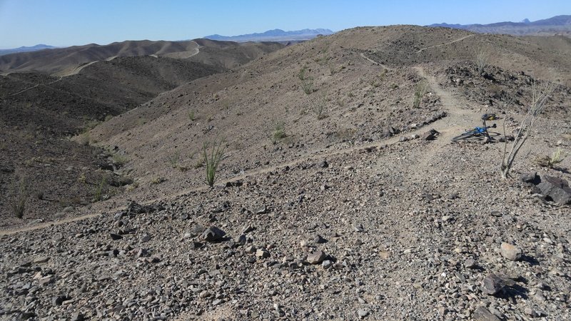 On Champagne, looking toward Yuma.