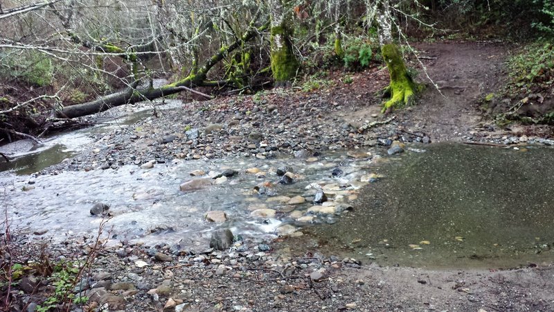 Stevens Creek water crossing on Canyon Trail.