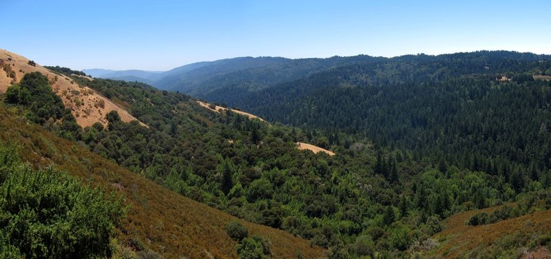 Stevens Creek Valley from Monte Bello Open Space Preserve Bella Vista Trail.