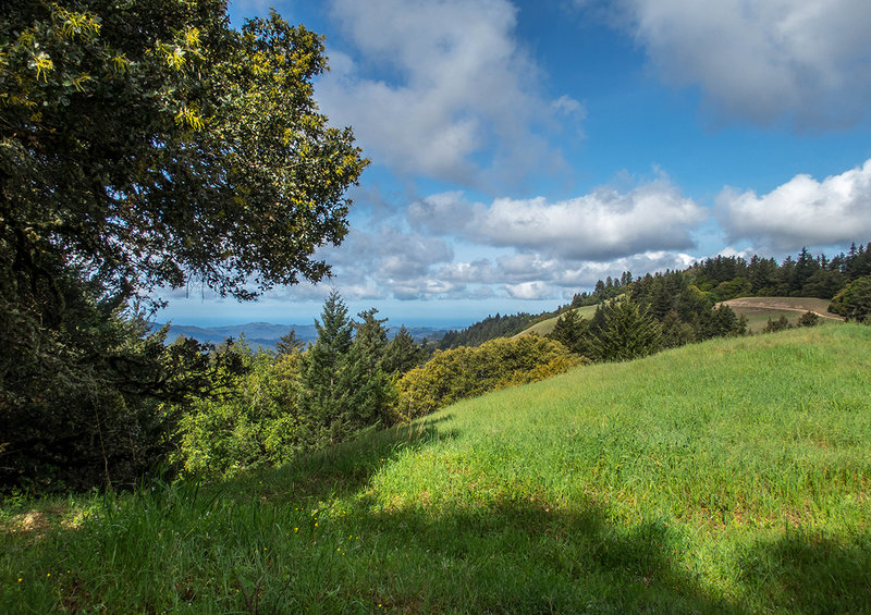 Looking west towards the Pacific Ocean.