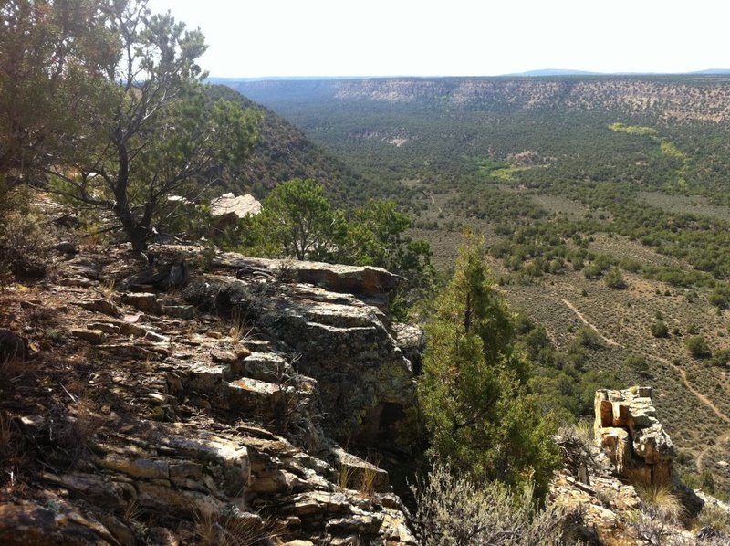 That's Lower Spring Creek down there! Taken from the top of the hike out.