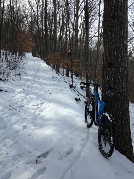 Climbing the trail to the cabins.